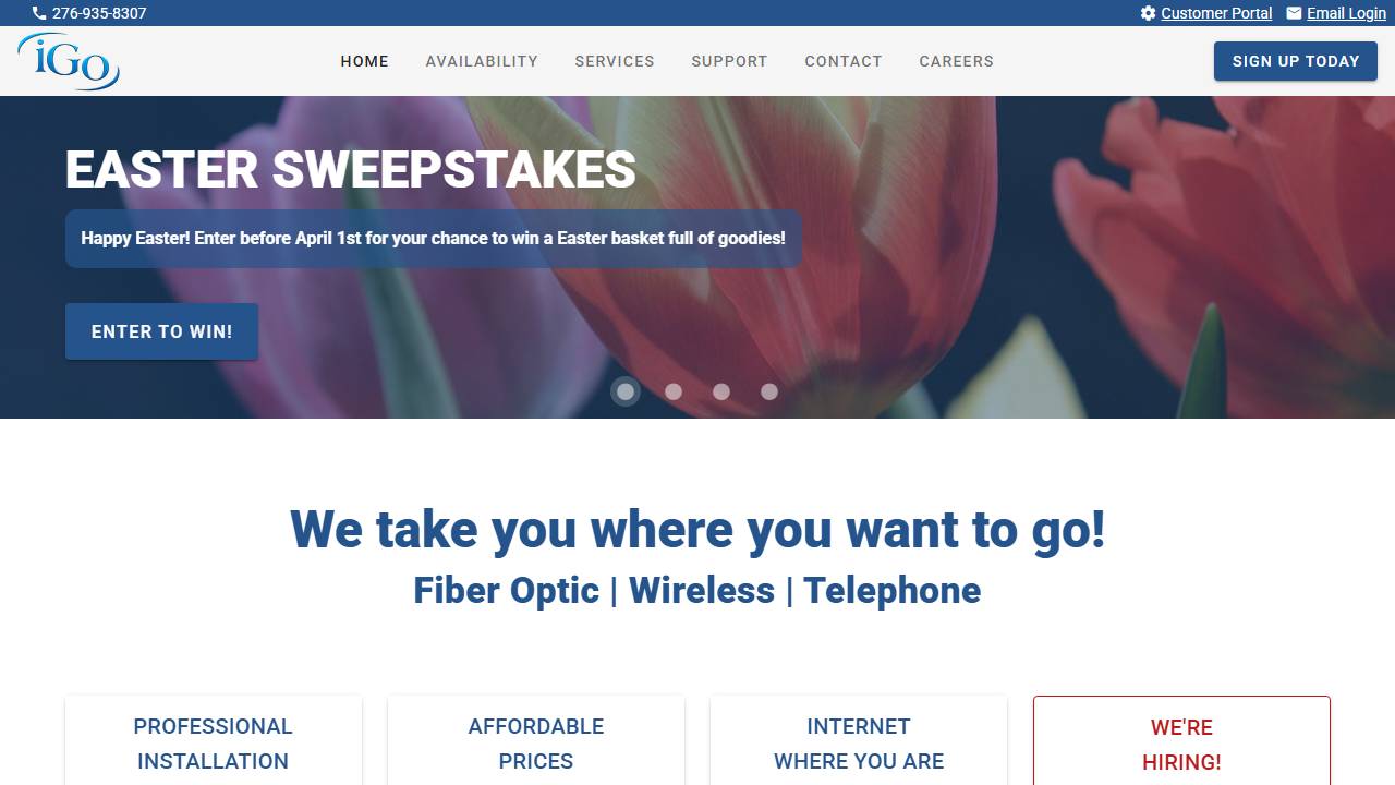 Screenshot of IGO Technology website