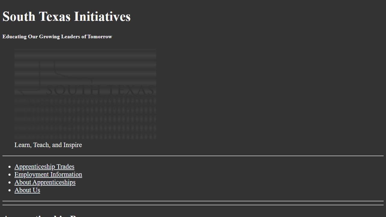 Screenshot of South Texas Initiatives LLC website