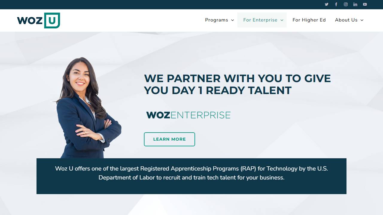 Screenshot of Apprentice Now website